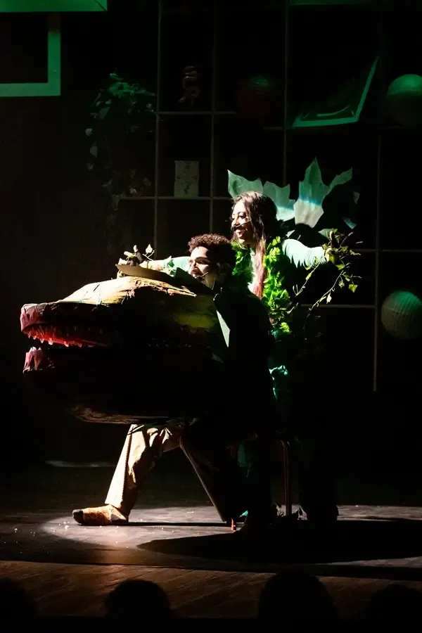 Vitrine Musical — foto 3